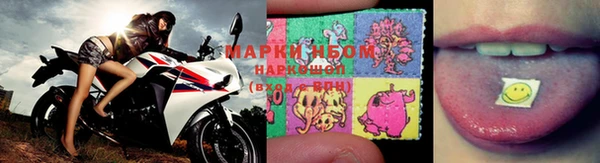 индика Алзамай