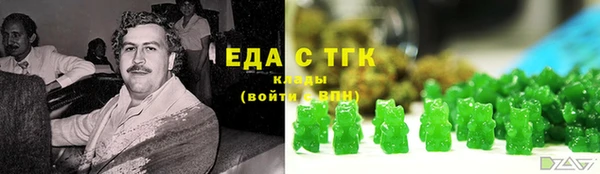 индика Алзамай