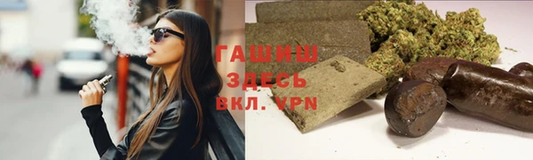 индика Алзамай
