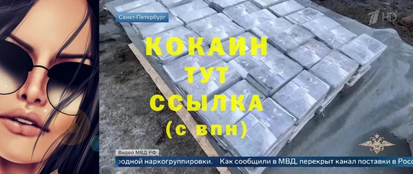 индика Алзамай