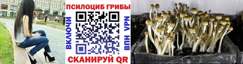 Галлюциногенные грибы мухоморы Камызяк